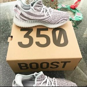 Yeezy boost 350 V2 blue tint